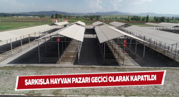 YKS nedeniyle Şarkışla hayvan pazarı kapatıldı