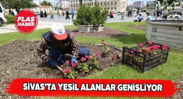 Sivas’ın çehresi yeşile bürünüyor