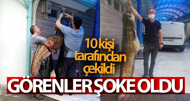 Şok olanlar … Dev yayın balığı 10 kişi tarafından vuruldu