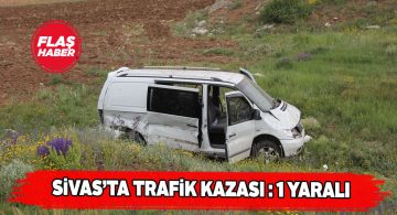 Zara’da otomobil tarlaya uçtu: 1 yaralı