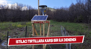 Zara’da tırtıl istilasına karşı ışıklı tuzak kullanıldı