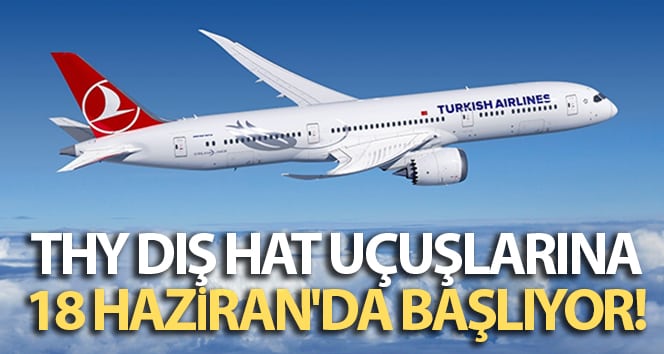 Türk Hava Yolları, Avrupa’dan Anadolu’nun dört bir yanına direkt uçacak