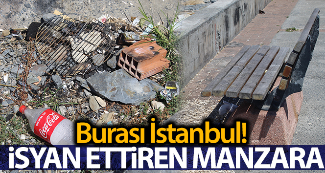 Vatandaşların geride bıraktığı manzara isyan etti