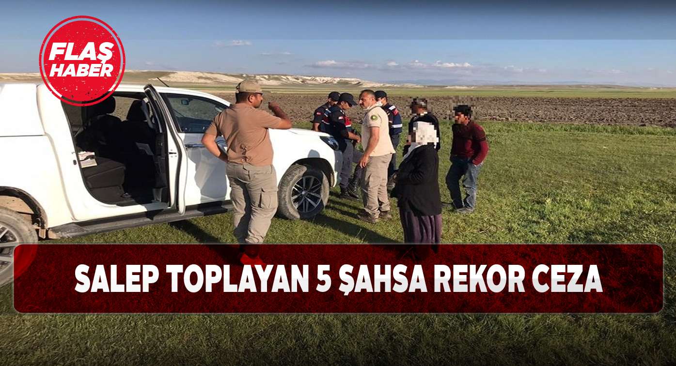 Yasaklı bitki toplayan 5 kişiye 365 bin lira ceza kesildi