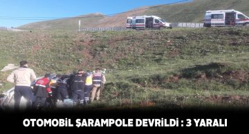 İmranlı ilçesinde yaşanan kazada 3 kişi yaralandı