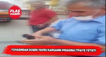 Sivas İtfaiyesi yavru kargaya yardım eli uzattı