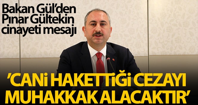 Bakan Gül: “Pınar kesinlikle kardeşini öldürerek hak ettiği cezayı alacak”