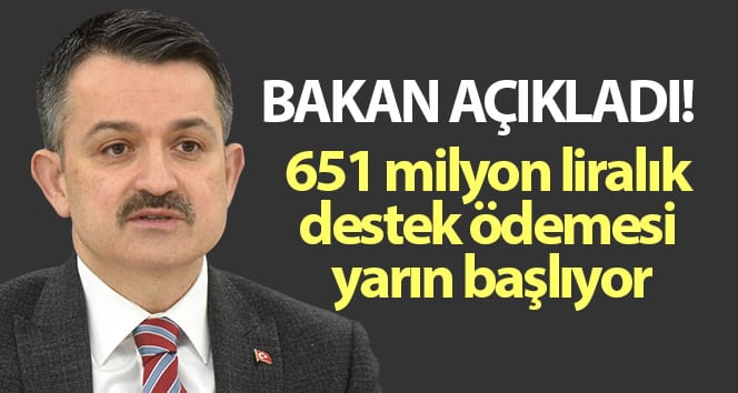 Bakan Pakdemirli: 651 milyon lira destek ödemesi yarın başlayacak