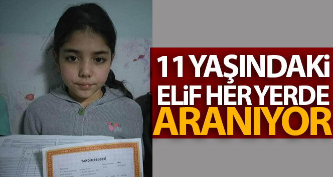 Giremen’in Bulancak ilçesinde kaybolan Semen Yaylası’nda Elif her yerde aranıyor.