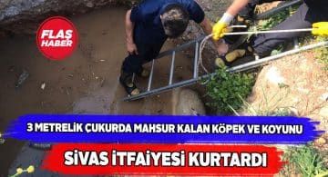Sivas itfaiyesinden hayvan kurtarma operasyonu