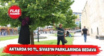 Sivaslı vatandaşlar parklardaki ıhlamurlara akın etti