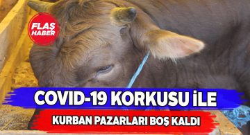 Kurban pazarlarında pandemi sebebiyle hayvan sayısı düştü