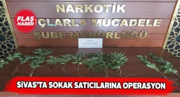 Sivas’ta narkotik madde avı!