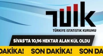 Sivas’ta bir yılda 11 hektarlık orman yandı