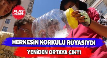 Sivas’ta et yiyen örümcek paniği!