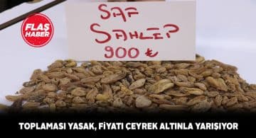 Saf salep ancak gram gram alınabiliyor