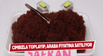 Safran bitkisinin fiyatı dudak uçuklatıyor
