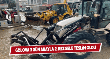 Gölova’yı yeniden sel götürdü