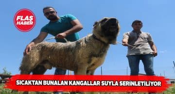 Sivas kangalları 2 saatte bir yıkanıyor