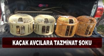 Keklik avcılarına tazminat cezası uygulandı