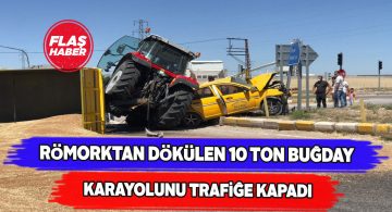 Trafik kazası sonucu tonlarca buğday yola saçıldı