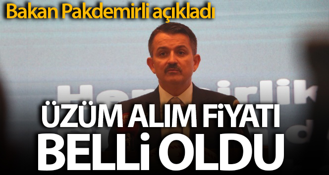 Bakan Bekir Pakdemirli yeni sezon üzüm alım fiyatını açıkladı