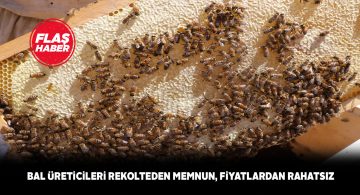 Bal üreticileri fiyatların rayına oturmasını istiyor