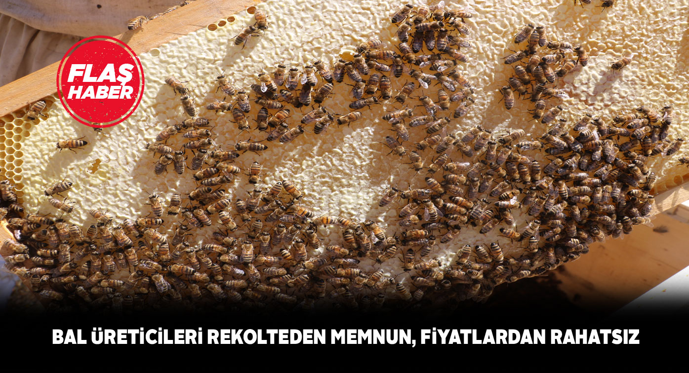 Bal üreticileri fiyatların rayına oturmasını istiyor