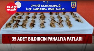 Kaçak bıldırcın avcılarına şok ceza