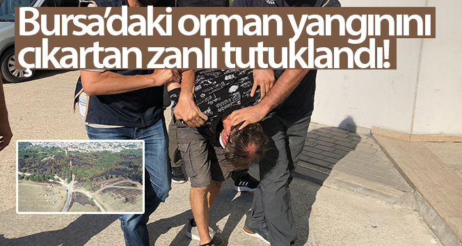 Bursa’da orman yangını başlatan zanlı tutuklandı