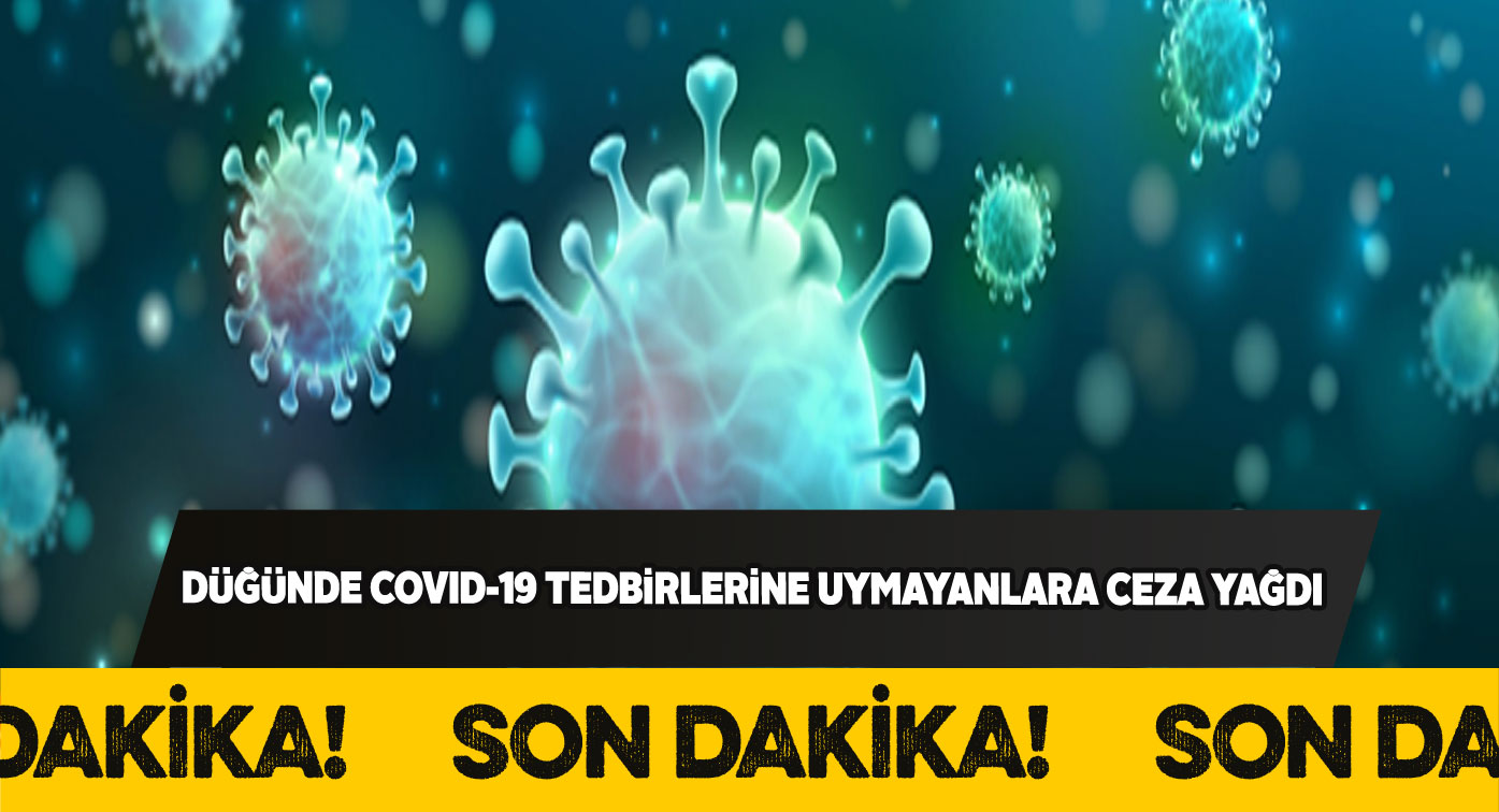 Gürün’de 10 kişiye 3,150’ler lira Covid-19 cezası kesildi