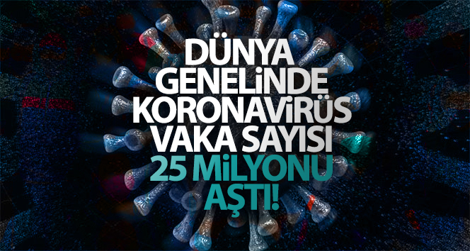 Dünya genelinde corona virüsü vaka sayısı 25 milyonu aştı