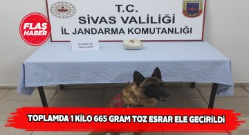 Sivas İl Jandarma Komutanlığı’ndan esrar operasyonu