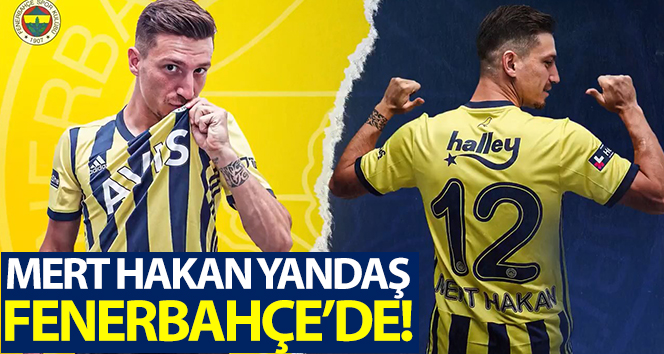 Fenerbahçe şirketinde Mert Hakan Yandaş