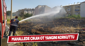 Gökçebostan mahallesinin orta yerinde otlar tutuştu