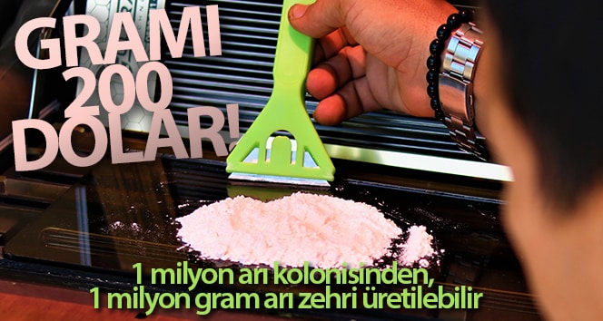 Gram başına 200 dolar