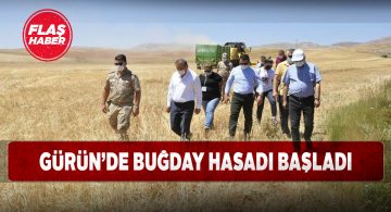 Gürün’de geniş katılımlı hasat programı