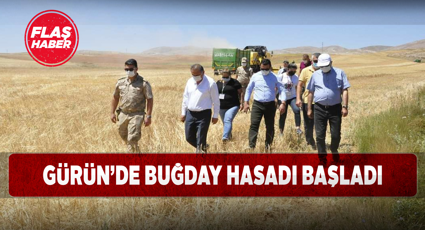 Gürün’de geniş katılımlı hasat programı