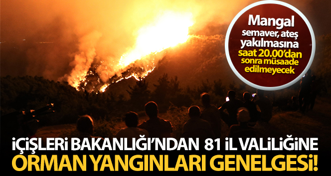 İçişleri Bakanlığı’ndan 81 il valiliğine orman yangınları ile ilgili genelge