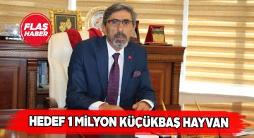 Ziraat Odası Başkanı’ndan küçükbaş açıklaması