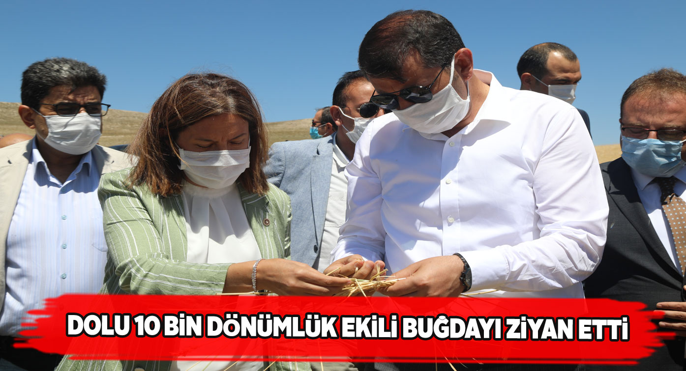 Ulaş’ta yağan dolu büyük maddi hasara yol açtı