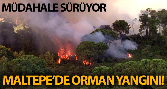 Maltepe’yi korkutan orman yangını