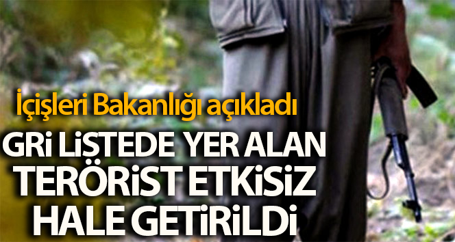 MİT tarafından gri listede etkisiz hale getirilen terörist
