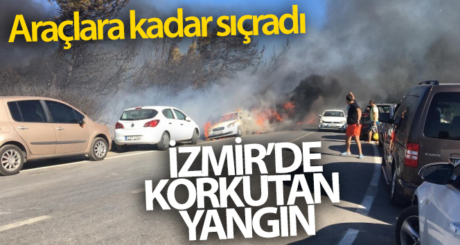 Seferihisar’da yangın araçlara sıçradı, müdahale sürüyor