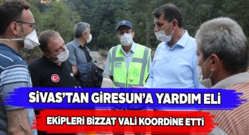 Vali Salih Ayhan Giresun’da sel bölgesini ziyaret etti