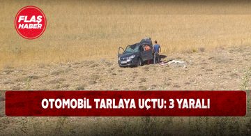 Gürün’de tarlaya uçan araçtaki 3 kişi yaralandı