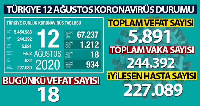 Türkiye’de son 24 saatte 1.212 kişiye Kovid-19 teşhisi kondu, 18 kişi hayatını kaybetti