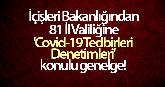 Ülke genelinde kapsamlı corona virüs incelemeleri devam edecek