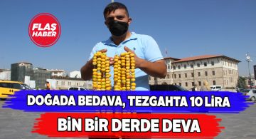 Şifalı aluç meyvesi tezgahlara girdi