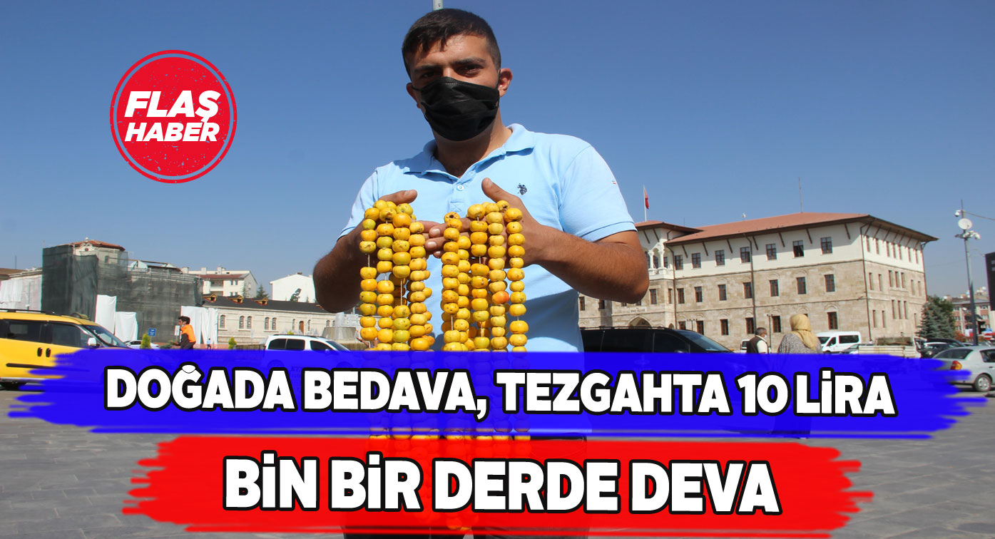 Şifalı aluç meyvesi tezgahlara girdi